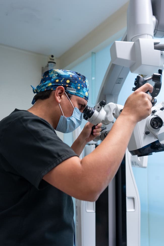 centro de la columna vertebral